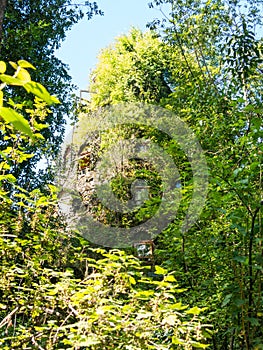 Hotel invaded by nature in Huilo Huilo Biological Reserve, Los Rios Region, Chile