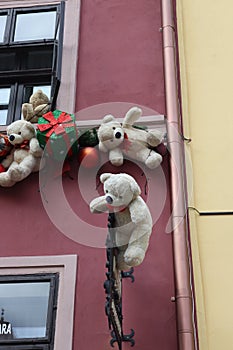 Hotel located in the center of Sighisoara that has a special facade.In this facade there are different models of teddy bears.