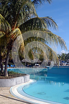 Hotel Pool