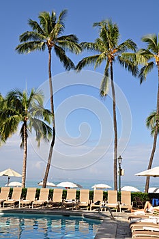 Hotel pool Waikiki