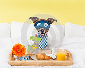 Hotel room service wtih dog