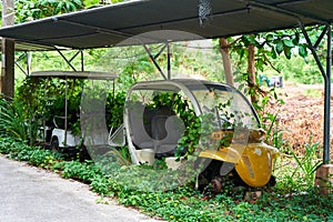 The hotel\'s abandoned electric cars are overgrown with greenery. It\'s not touristy season photo