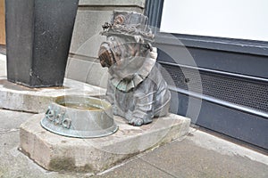 A hotel`s water dish for pets in Portland, Oregon