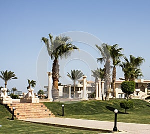 hotel in the United Arab Emirates, villas, palm trees, decorative columns, lawns, grass, palm trees and trees