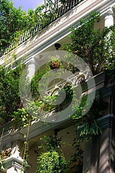 Hotel Wall in Saigon covered with plants. Ho Chi Minh City