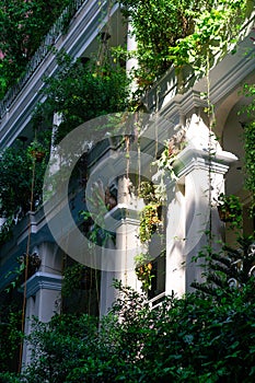 Hotel Wall in Saigon covered with plants. Ho Chi Minh City