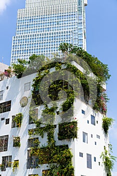 Hotel wall and windows covered in leafs.