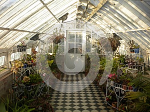 The hothouse at historic Werribee Mansion, Melbourne, Australia.