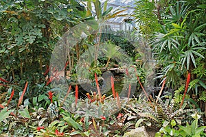 Tropical Hothouse Pond at Sherman Gardens photo