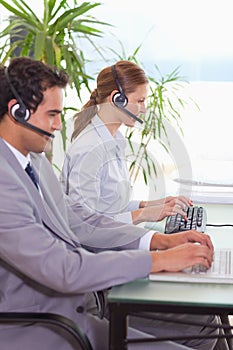 Hotline employees at work