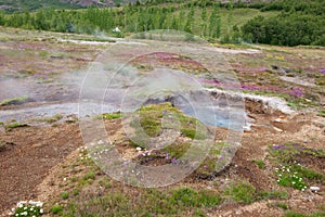 Hotspring water photo