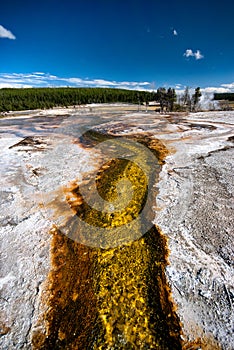 Hotspring of Yellowstone