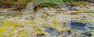 Hotsprings Of The Lake Furnas. Sao Miguel, Azores. Lagoa das Furnas Hotsprings