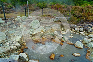 Hotsprings Of The Lake Furnas. Sao Miguel, Azores. Lagoa das Furnas Hotsprings