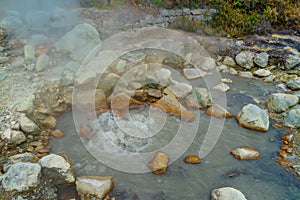 Hotsprings Of The Lake Furnas. Sao Miguel, Azores. Lagoa das Furnas Hotsprings