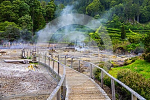 Hotsprings Of The Lake Furnas. Sao Miguel, Azores. Lagoa das Furnas Hotsprings. SÃ£o Miguel, Azores, Portugal. Steam venting at