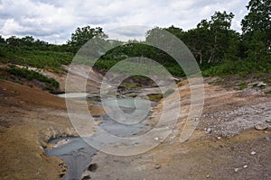 Hotsprings and mudpots between the vegetation of Uzon Caldera