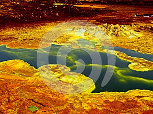 The hottest place on earth Danakil Depression in Dallol Ethiopia