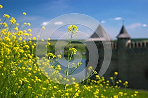Hotyn fortress on the river Dniester