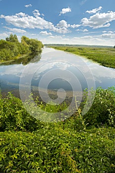 Houghton Lake Flats marsh, michigan, usa