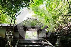 Hounen-in Temple of fresh verdure, Kyoto, Japan