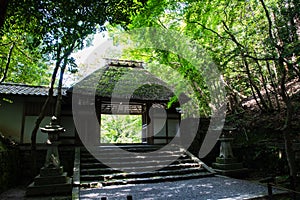 Hounen-in Temple of fresh verdure, Kyoto, Japan