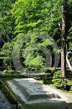 Hounen-in Temple of fresh verdure, Kyoto, Japan