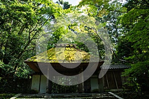 Hounen-in Temple of fresh verdure, Kyoto, Japan