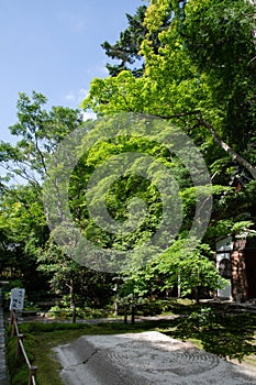 Hounen-in Temple of fresh verdure, Kyoto, Japan