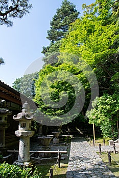 Hounen-in Temple of fresh verdure, Kyoto, Japan