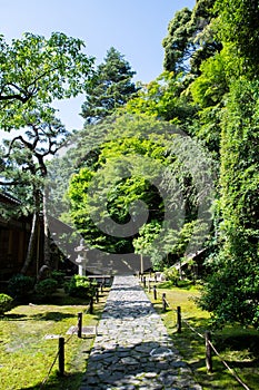 Hounen-in Temple of fresh verdure, Kyoto, Japan