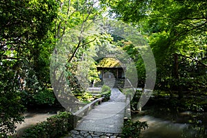 Hounen-in Temple of fresh verdure, Kyoto, Japan