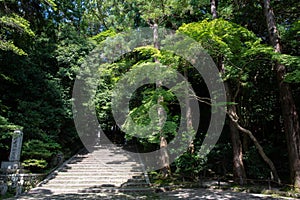 Hounen-in Temple of fresh verdure, Kyoto, Japan