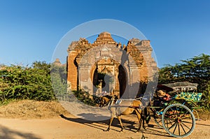 Hourse carriages with Dhammayangyi temple The biggest Temple.