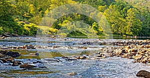 Housatonic River and tree shoreline in Summer
