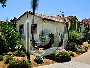 House Adobe style with beautiful landscape of cacti and other blooming flowers