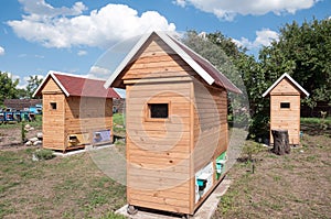 House for apitherapy