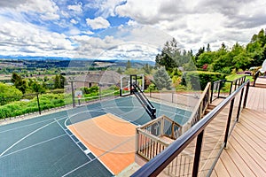 House backyard with sport court and patio area. View from walkout deck photo