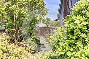 House backyard view. Walkway view