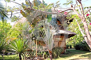 House of bamboo and shingles photo