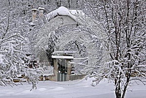 House behind the snowy trees