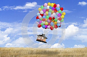 House being carried by balloons