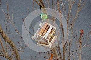 Bird house with bird feed at small tree