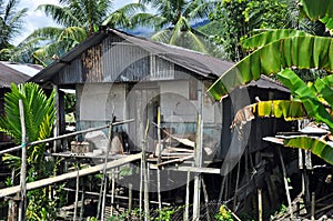 House of Borneo Headhunters