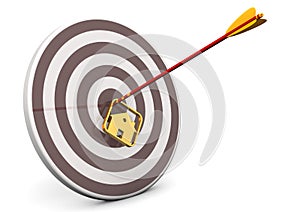 House Bullseye Target