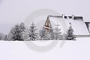 House buried under the snow