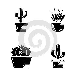 House cactus in pot glyph icons set