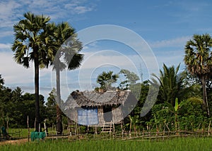 House in Cambodia