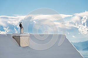 House Chimney, winterday