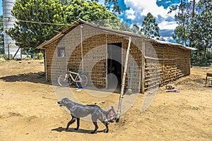 House of clay built and stick a pike and paja clay, in the rural area photo